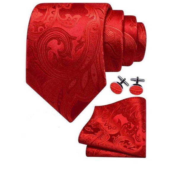 Elegant Red Paisley Tie Set - Picture 2 of 4